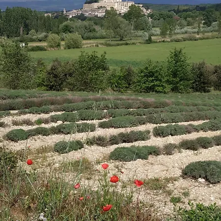 Maison Au Pied Du Chateau Holiday home Grignan